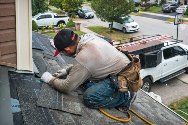 Professional Roof Inspection technician working in Cedarville, MI